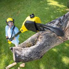 Best Lawn Watering Services  in Woodside, CA